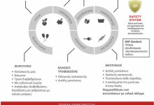 Dream Classic140x155cm 910002