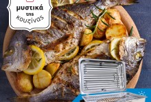 Roller Kappatos 20107 INOX